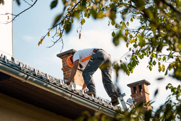 Best Roof Maintenance Services  in Waverly, NY