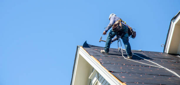 Best Roof Leak Repair  in Waverly, NY
